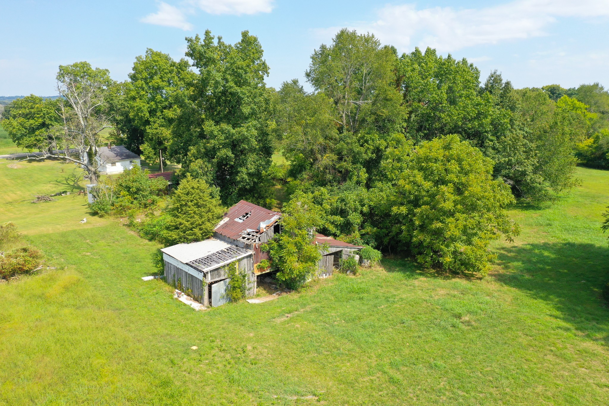 5345 Butler Road Hopkinsville, KY 42240 - Photo 48 of 55 Gallery Image 48