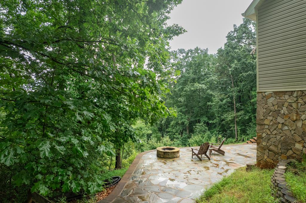 770 Flagpole Road Ellijay, GA 30540 - Photo 72 of 79 Gallery Image 72