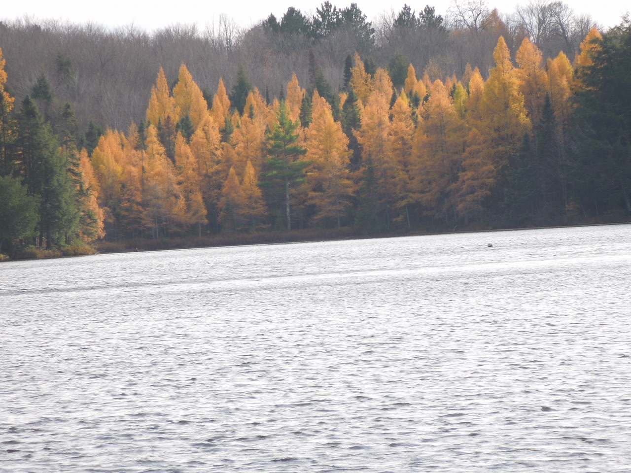 E19577 Roddis Road Watersmeet, MI 49969 - Photo 12 of 25 Gallery Image 12