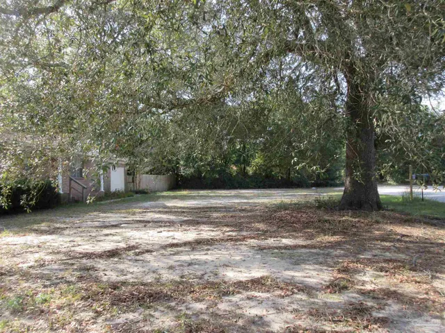 a view of a backyard with a trees