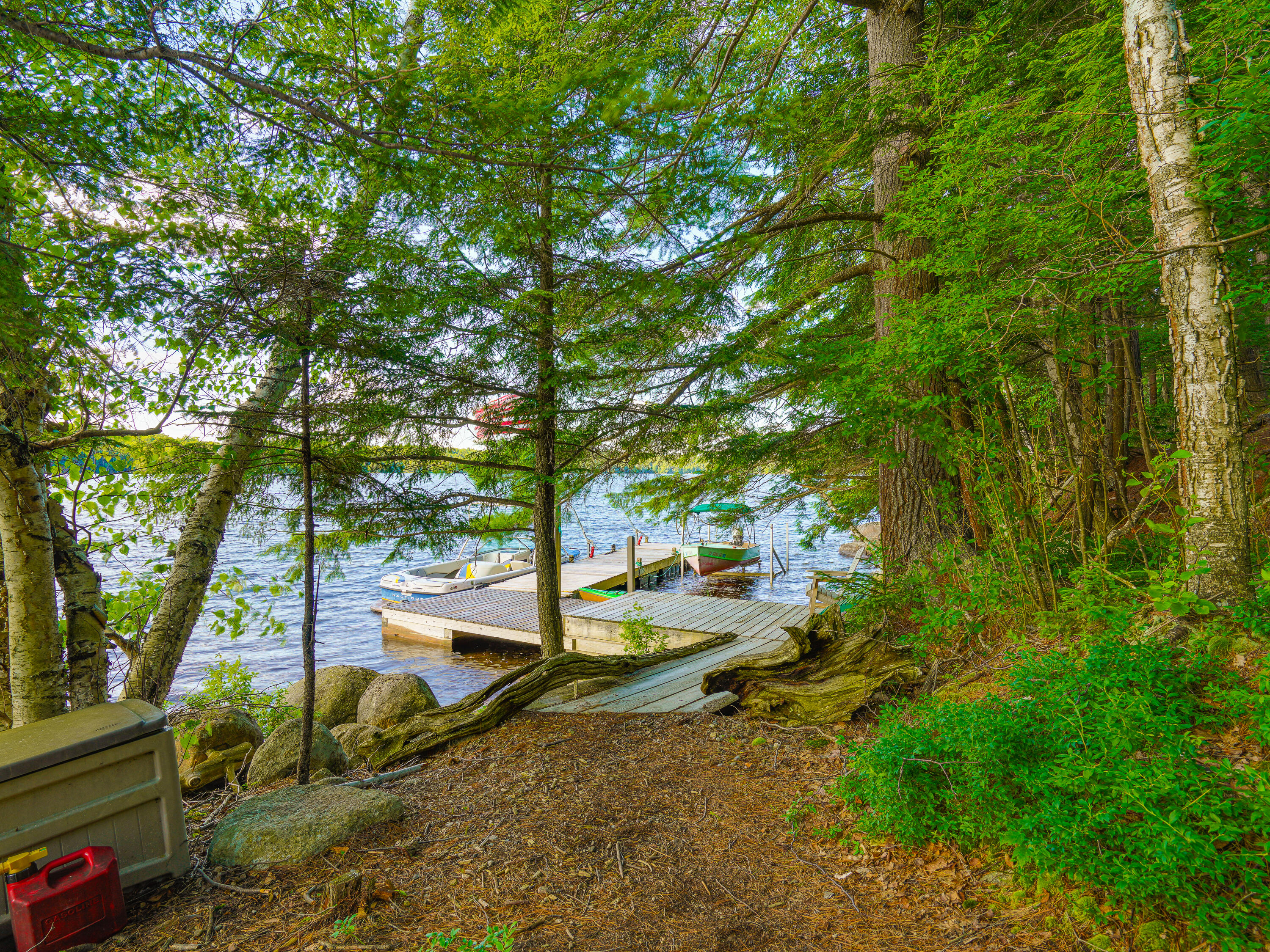 7 Bluff Island Tupper Lake, NY 12986 - Photo 5 of 63 Bluff Island-26