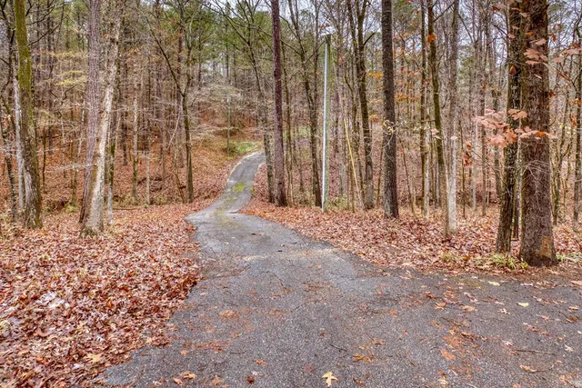 a view of a backyard of the house