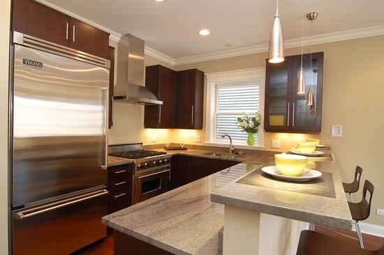 1041 West Grace Street, Unit 2 Chicago, IL 60613 - Photo 7 of 17