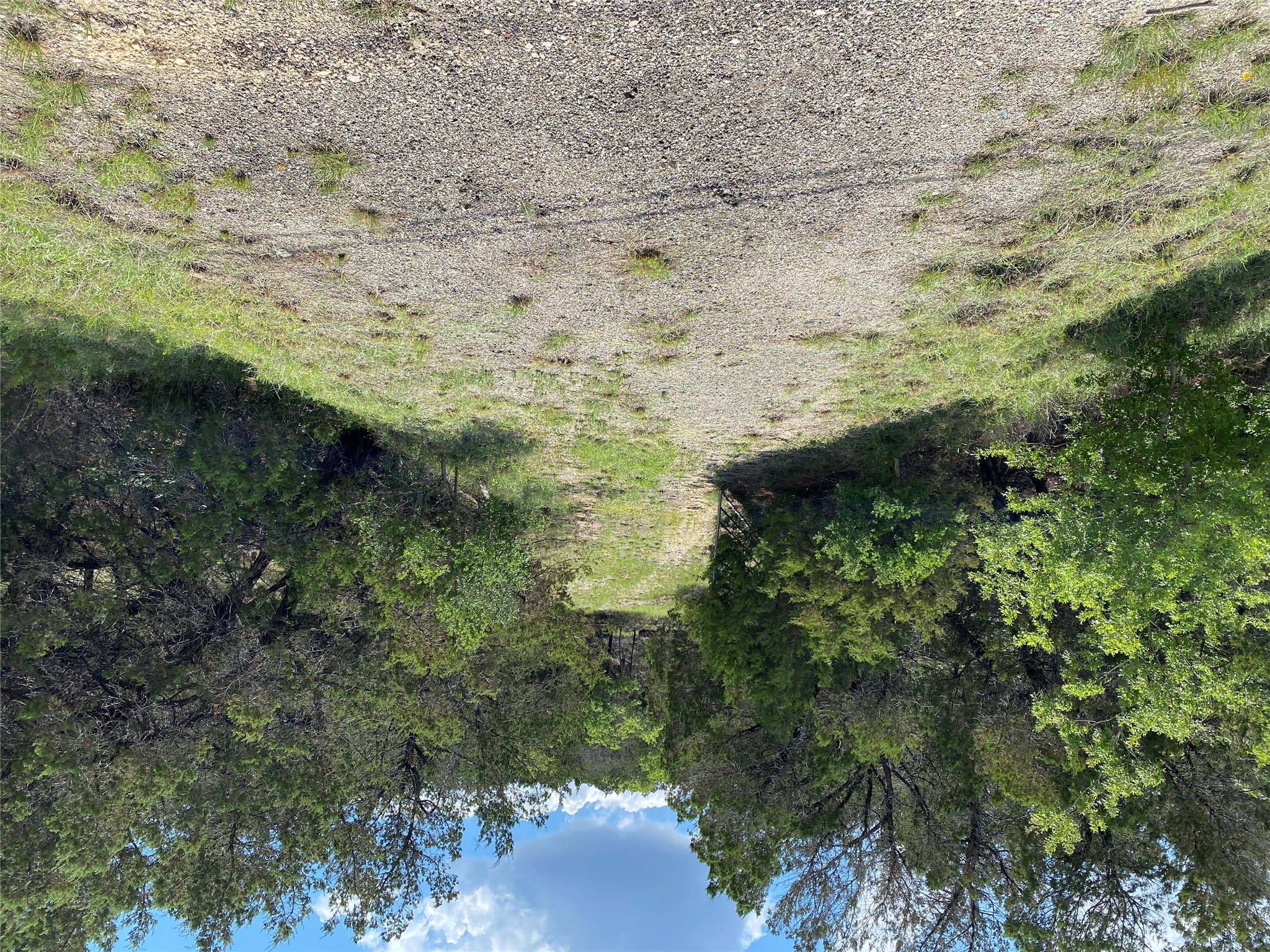 19201 West Reed Park Road Jonestown, TX 78645 - Photo 11 of 12