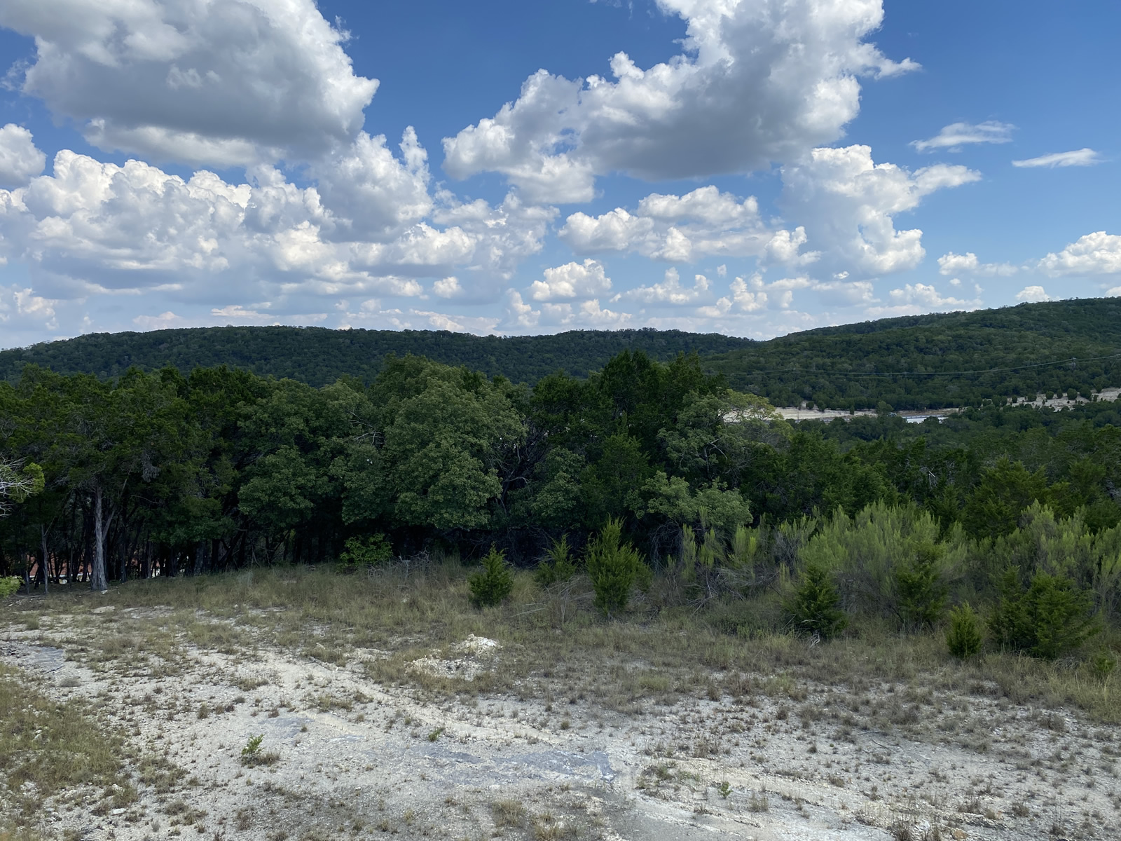 19201 West Reed Park Road Jonestown, TX 78645 - Photo 3 of 12 View of mountain backdrop with a heavily wooded area