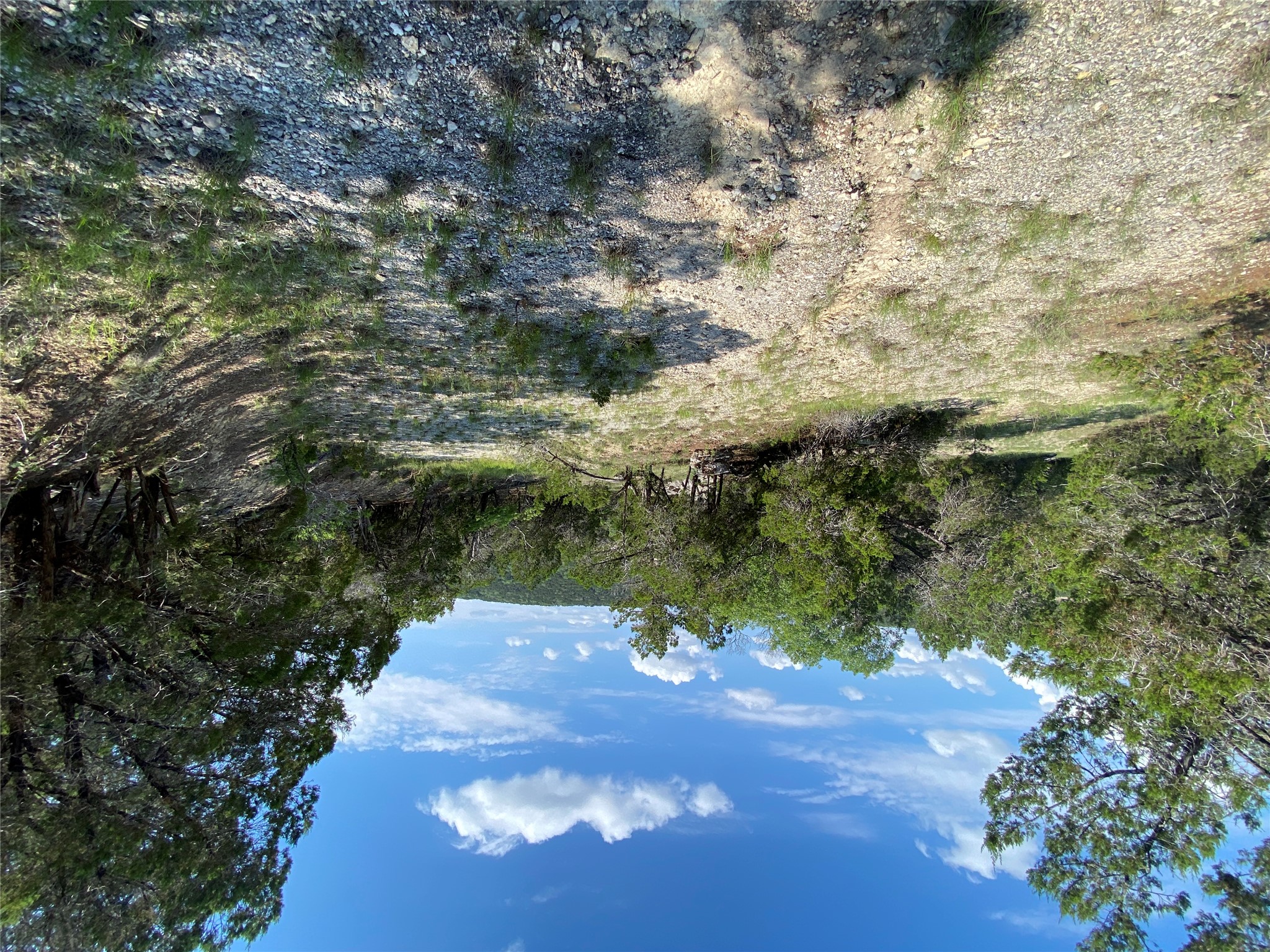 19201 West Reed Park Road Jonestown, TX 78645 - Photo 5 of 12 View of local wilderness