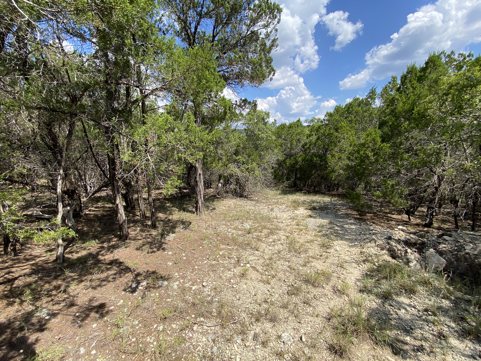 19201 West Reed Park Road Jonestown, TX 78645 - Photo 9 of 12 View of undeveloped land