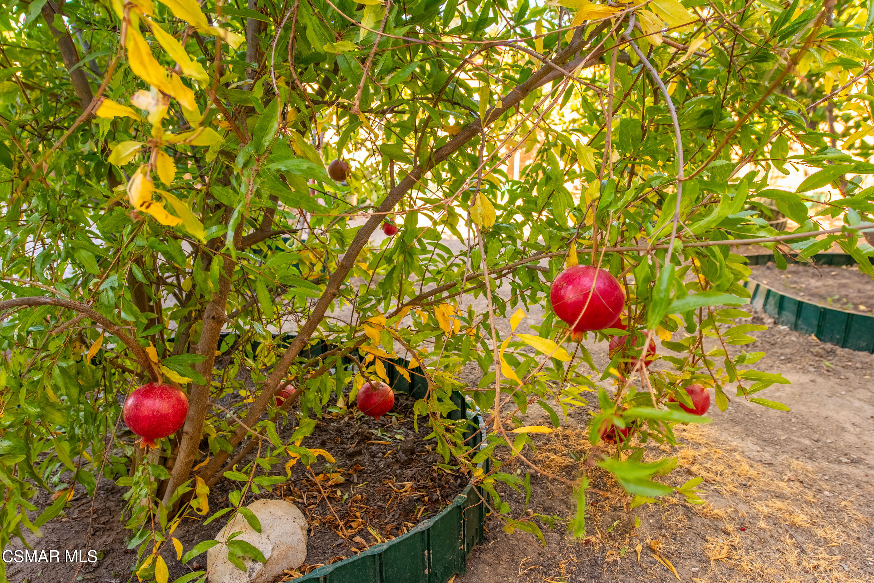 5953 Piuma Court Simi Valley, CA 93063 - Photo 75 of 90 Backyard