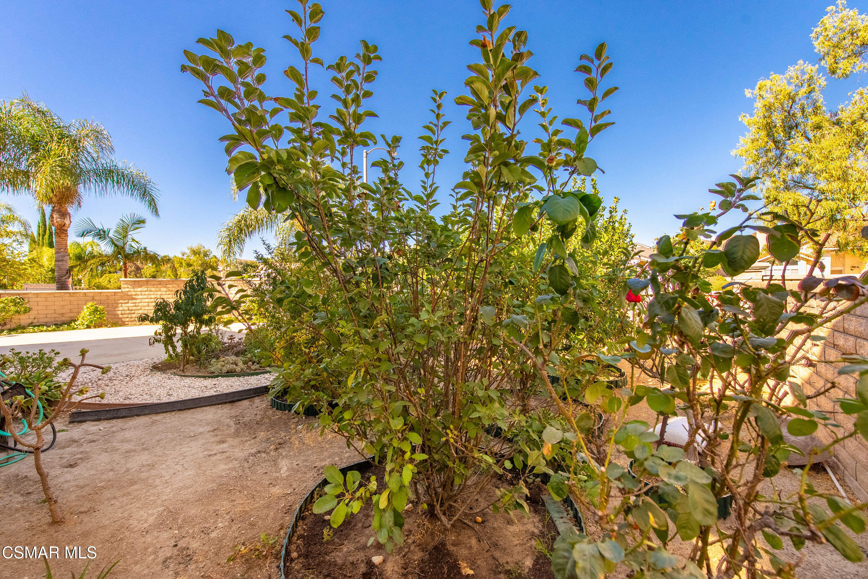 5953 Piuma Court Simi Valley, CA 93063 - Photo 76 of 90 Backyard