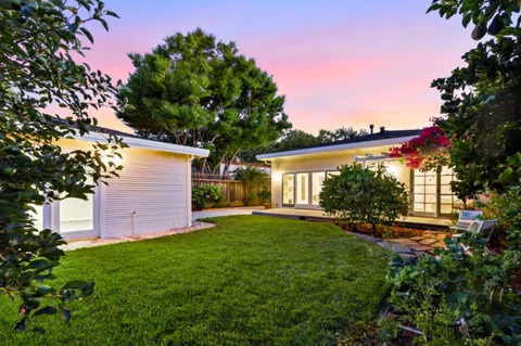 a view of a backyard with plants and a large tree