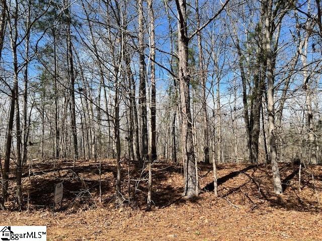 127 Katora Lane Pelzer, SC 29669 - Photo 1 of 2