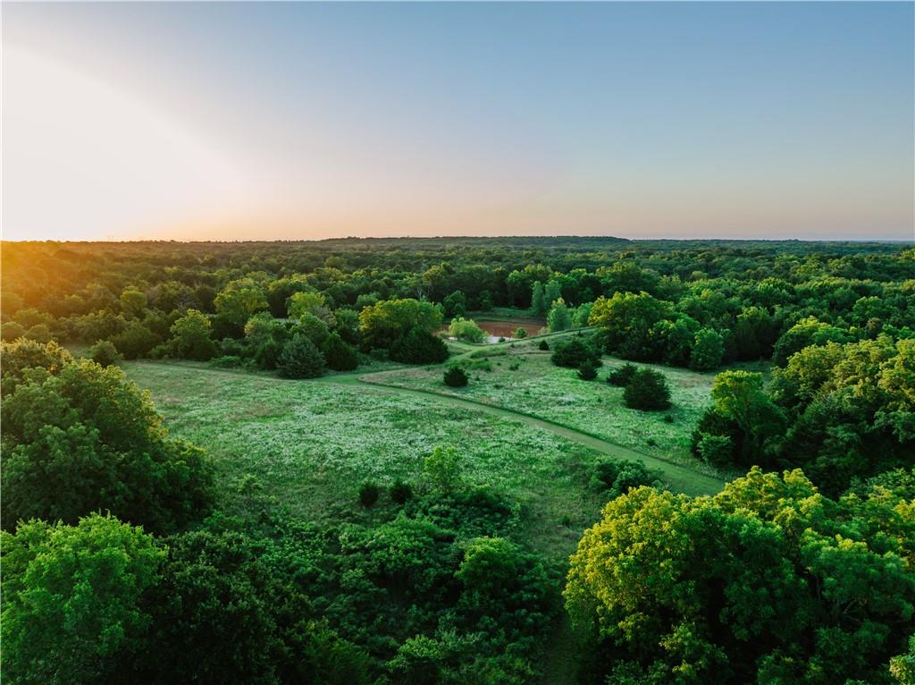 42629 South 34200 Road Pawnee, OK 74058 - Photo 67 of 99