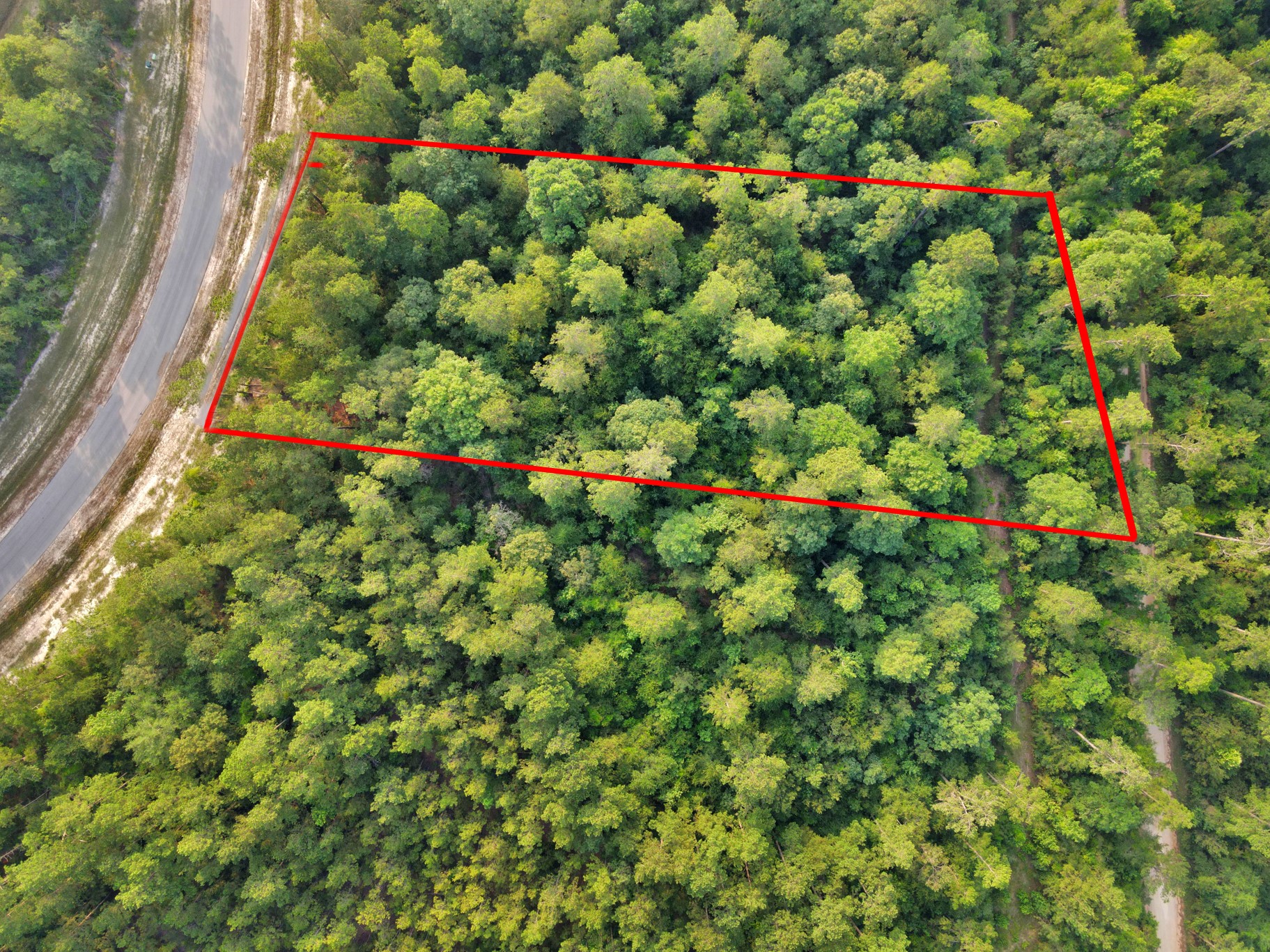 15365 Red Hawk Road Willis, TX 77378 - Photo 11 of 18 a bunch of flowers in bunch