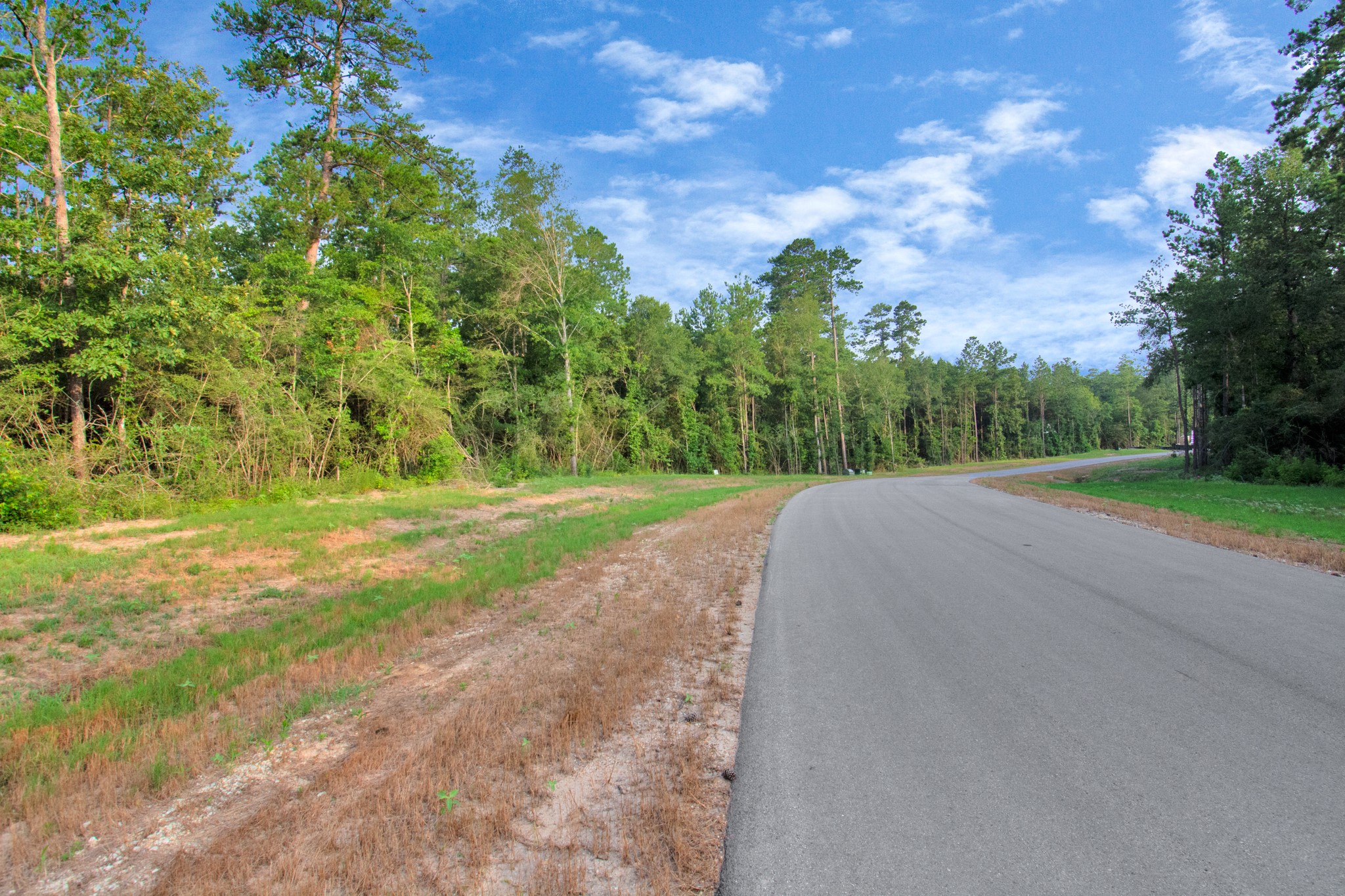 15365 Red Hawk Road Willis, TX 77378 - Photo 15 of 18 a view of a street