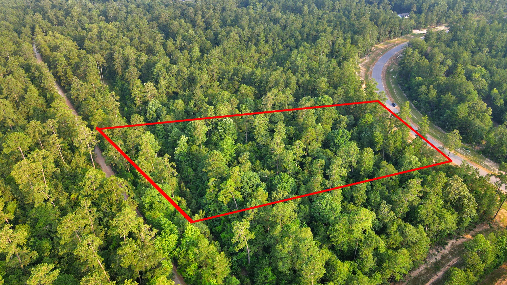 15365 Red Hawk Road Willis, TX 77378 - Photo 3 of 18