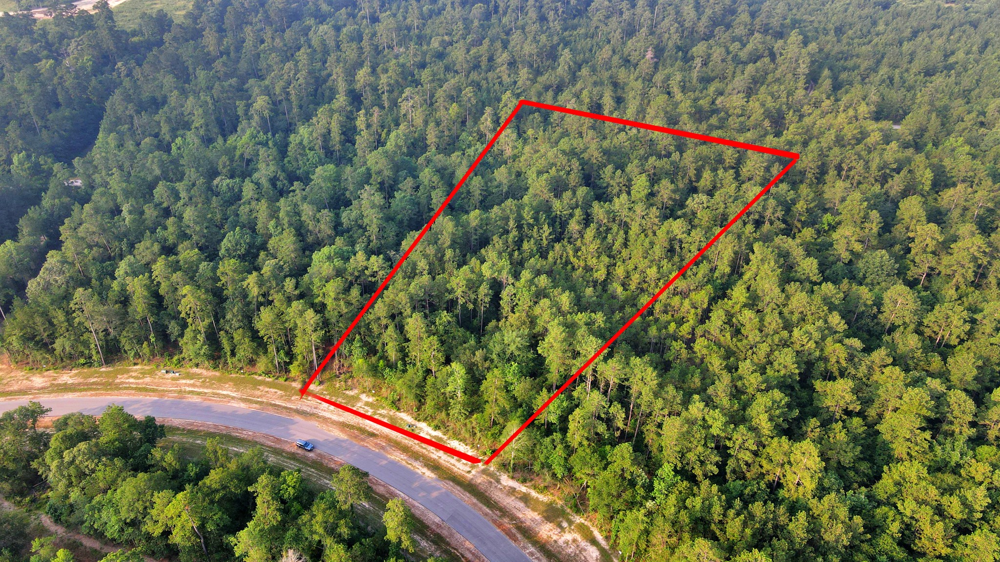 15365 Red Hawk Road Willis, TX 77378 - Photo 5 of 18 a view of a yard with a small plants