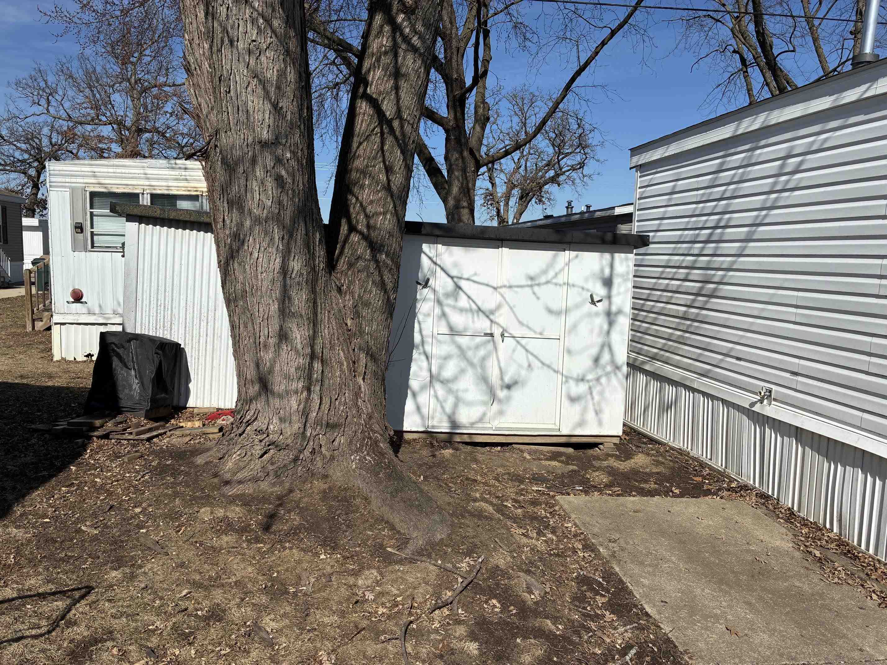 73 Redwing Lane Madison, WI 53704 - Photo 12 of 12