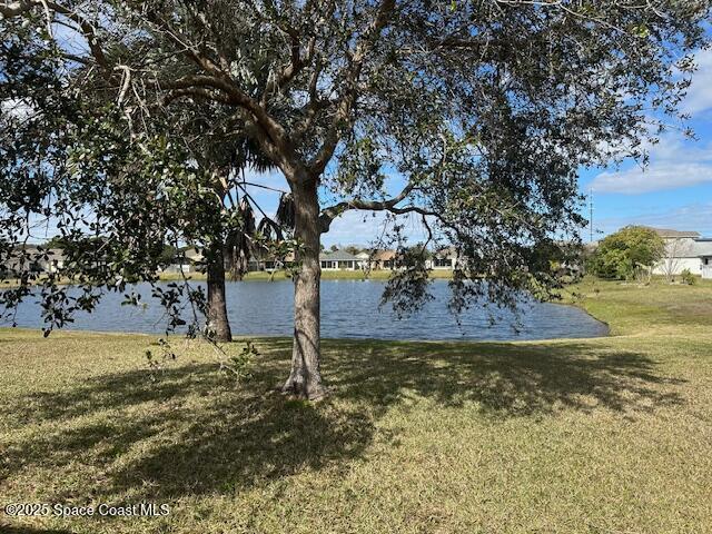 5632 Talbot Boulevard Cocoa, FL 32926 - Photo 3 of 12 a view of a yard with an tree