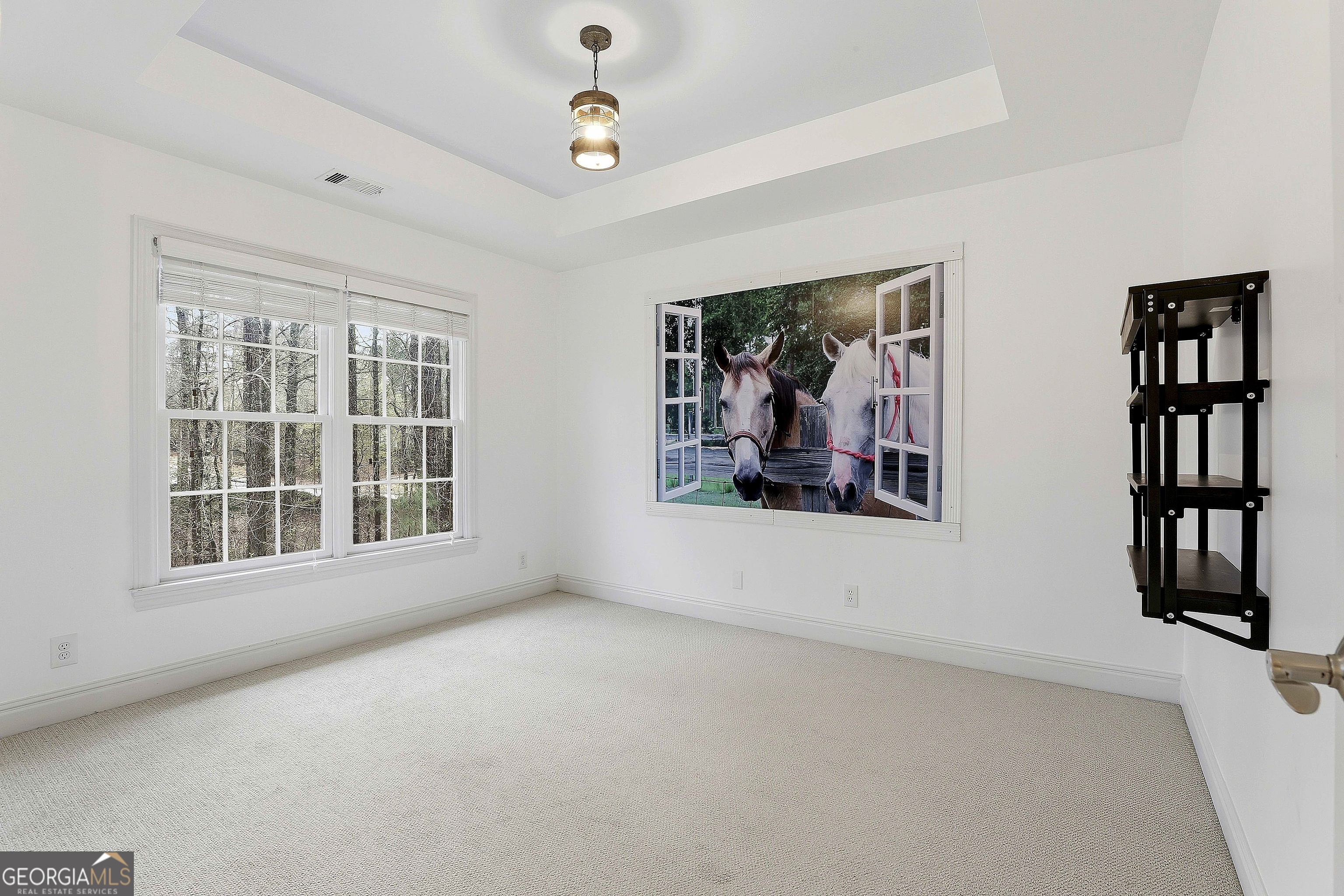 108 Tullamore Trail Tyrone, GA 30290 - Photo 46 of 54 an empty room with windows and fan