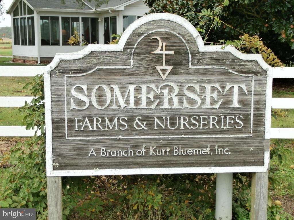 9042 Fontaine Road Westover, MD 21871 - Photo 2 of 50 Gallery Image 2