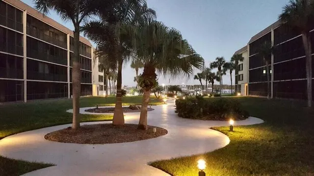 a road view with large trees