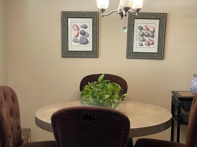 a view of backyard with potted plants and wooden fence