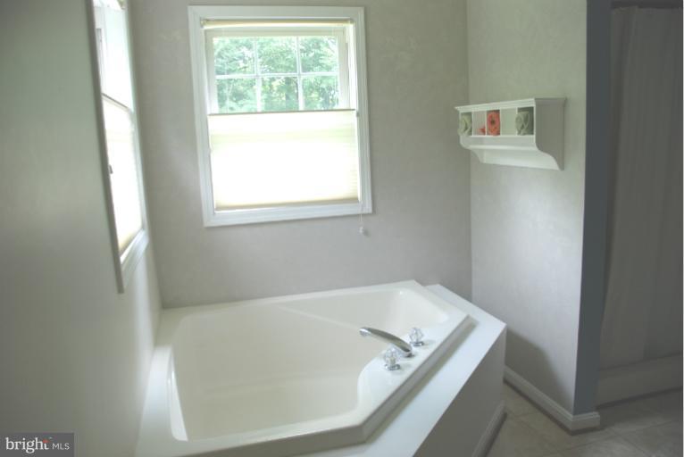 2108 Dargan Road Sharpsburg, MD 21782 - Photo 22 of 26 Bath (Master)