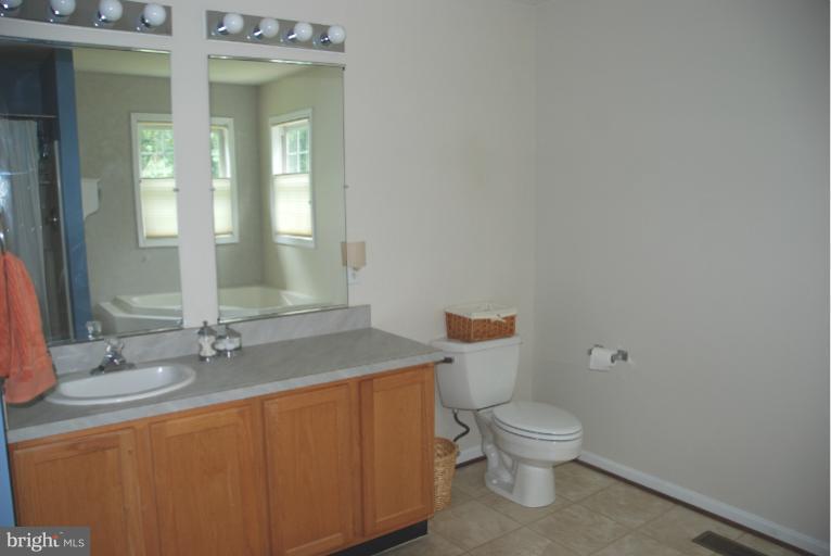 2108 Dargan Road Sharpsburg, MD 21782 - Photo 23 of 26 Bath (Master)
