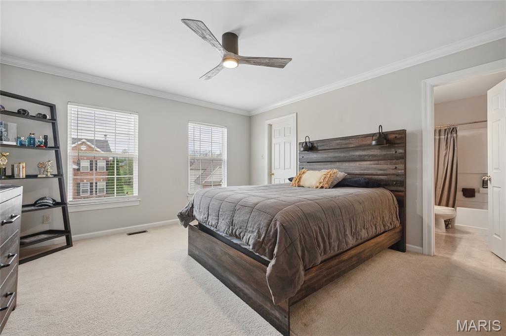 3027 Windsor Point Drive St. Louis, MO 63129 - Photo 13 of 21