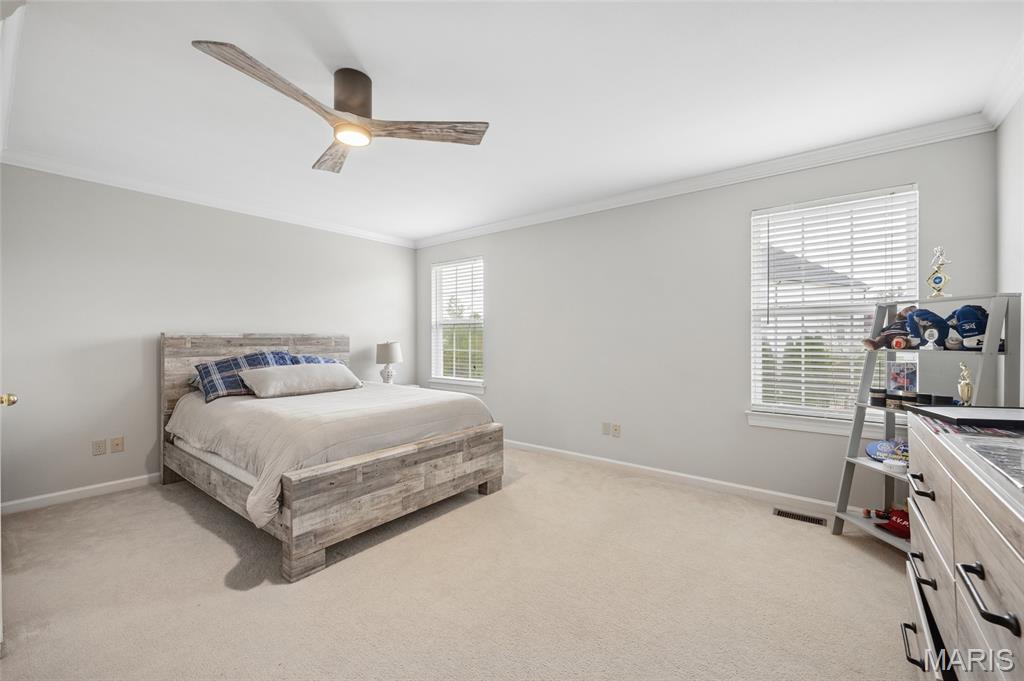 3027 Windsor Point Drive St. Louis, MO 63129 - Photo 15 of 21
