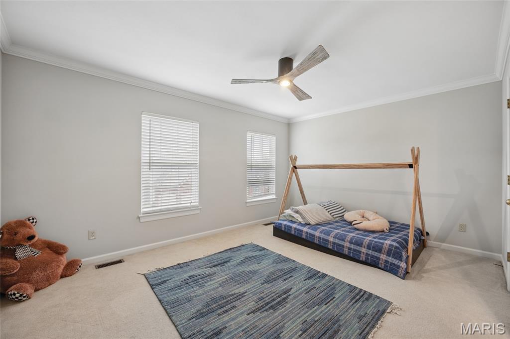 3027 Windsor Point Drive St. Louis, MO 63129 - Photo 17 of 21