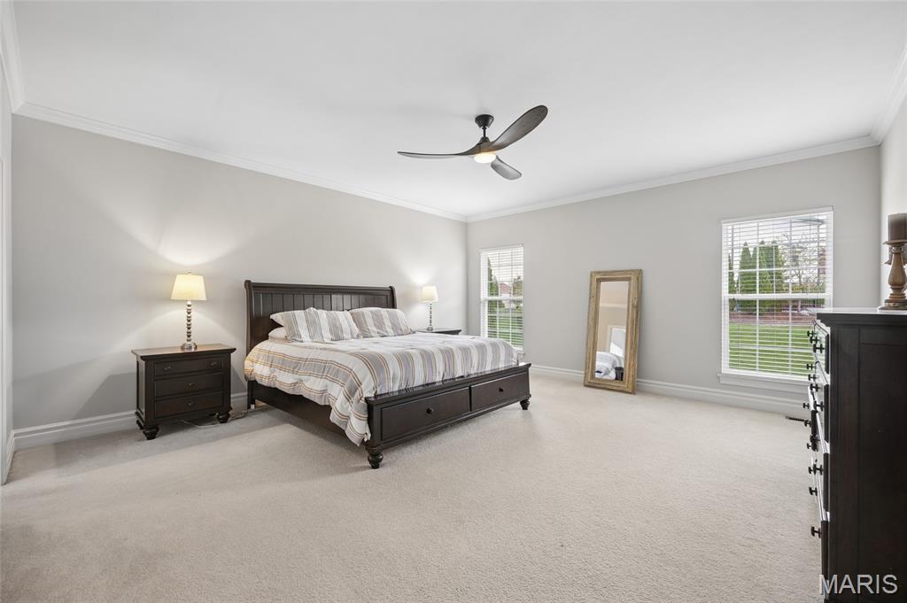 3027 Windsor Point Drive St. Louis, MO 63129 - Photo 9 of 21