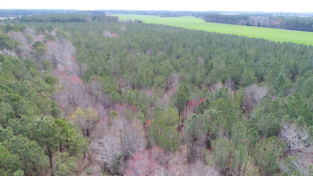 0 Drummondtown Road Accomac, VA 23301 - Photo 44 of 50