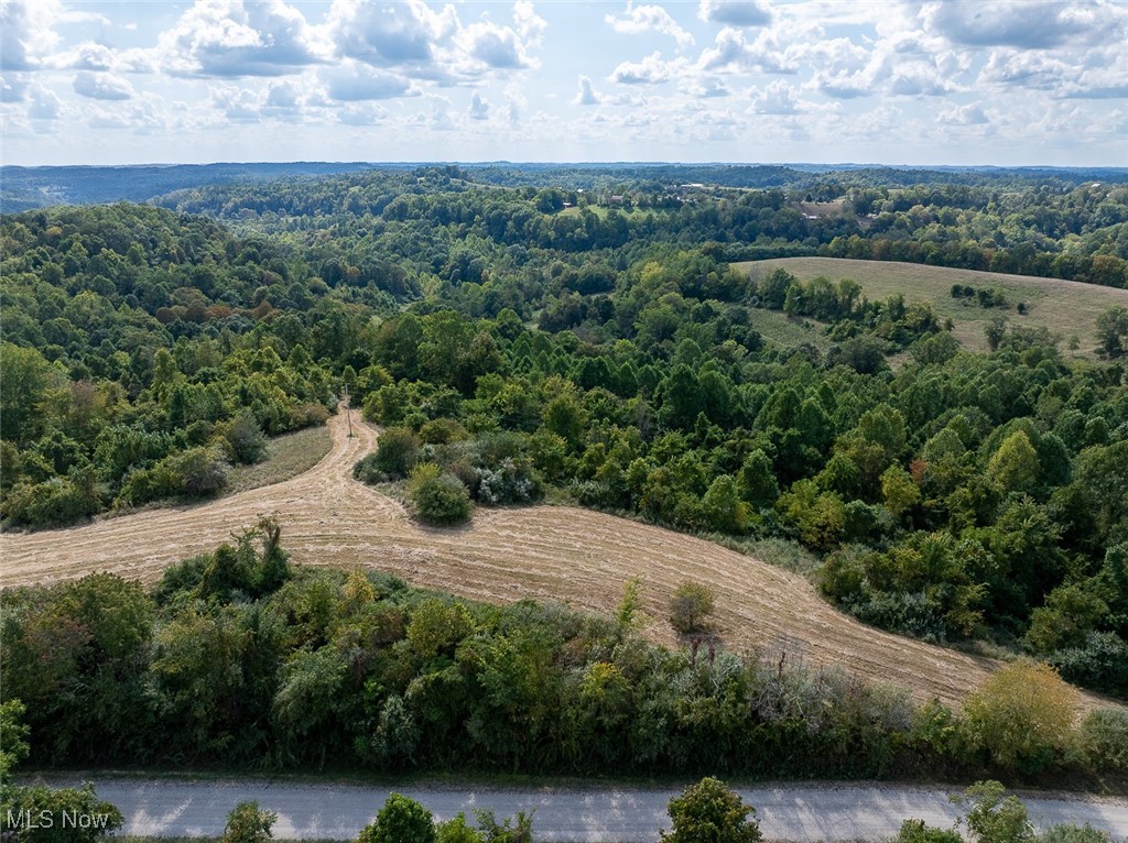0 Rado Ridge Road Caldwell, OH 43724 - Photo 13 of 39 Gallery Image 13