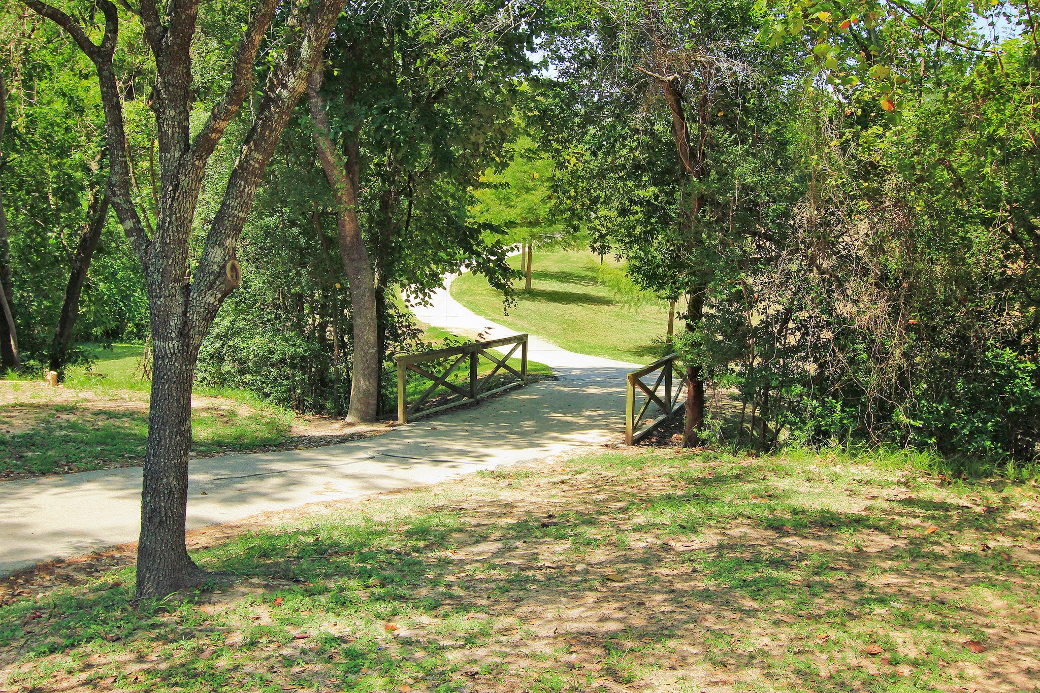 13403 Taylorcrest Road Houston, TX 77079 - Photo 33 of 38 a view of a yard with a tree