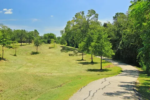 a swimming pool with some trees