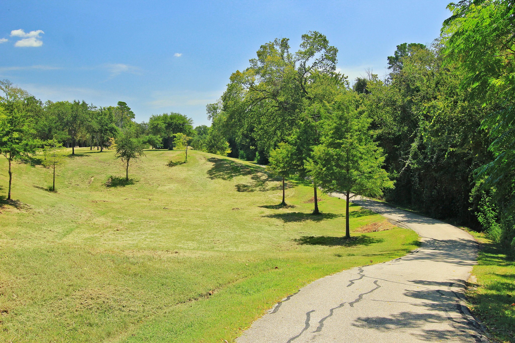 13403 Taylorcrest Road Houston, TX 77079 - Photo 34 of 38 a swimming pool with some trees