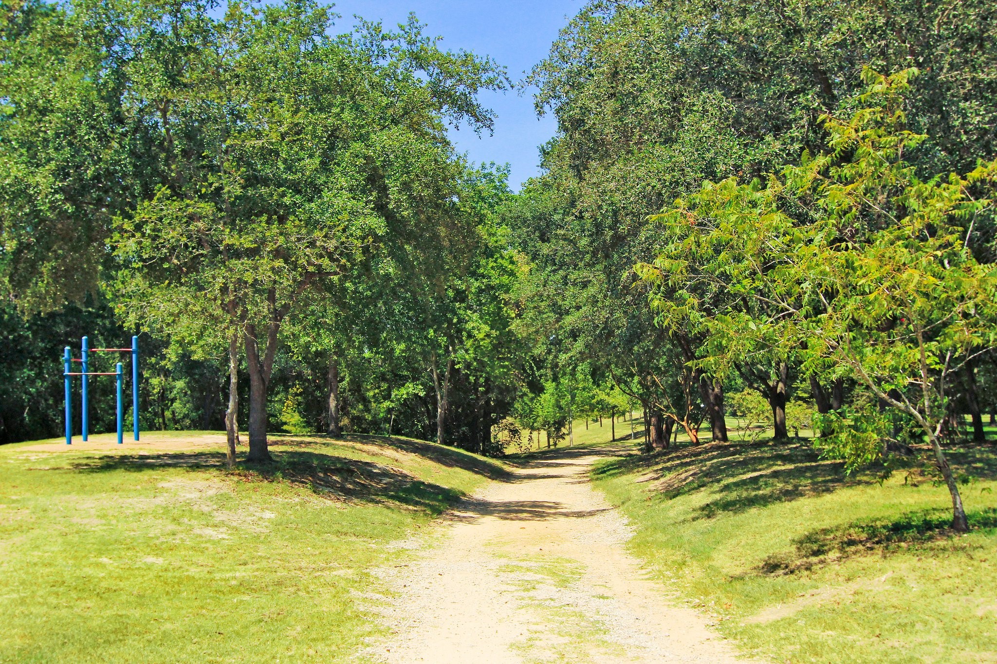 13403 Taylorcrest Road Houston, TX 77079 - Photo 35 of 38 a view of a swimming pool with an outdoor space