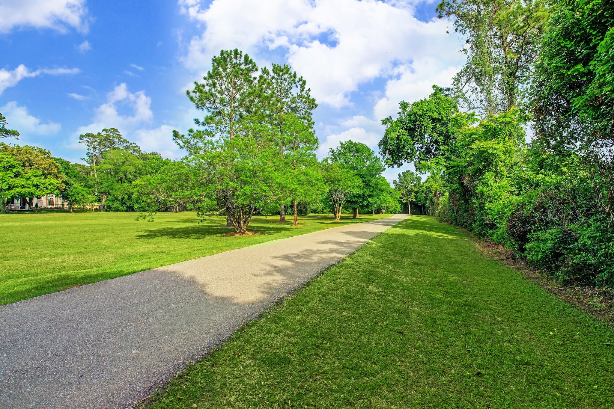 13403 Taylorcrest Road Houston, TX 77079 - Photo 36 of 38 a view of a golf course with a lake