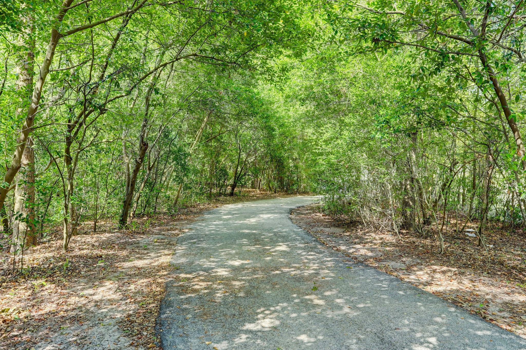 13403 Taylorcrest Road Houston, TX 77079 - Photo 37 of 38 a view of outdoor space with trees