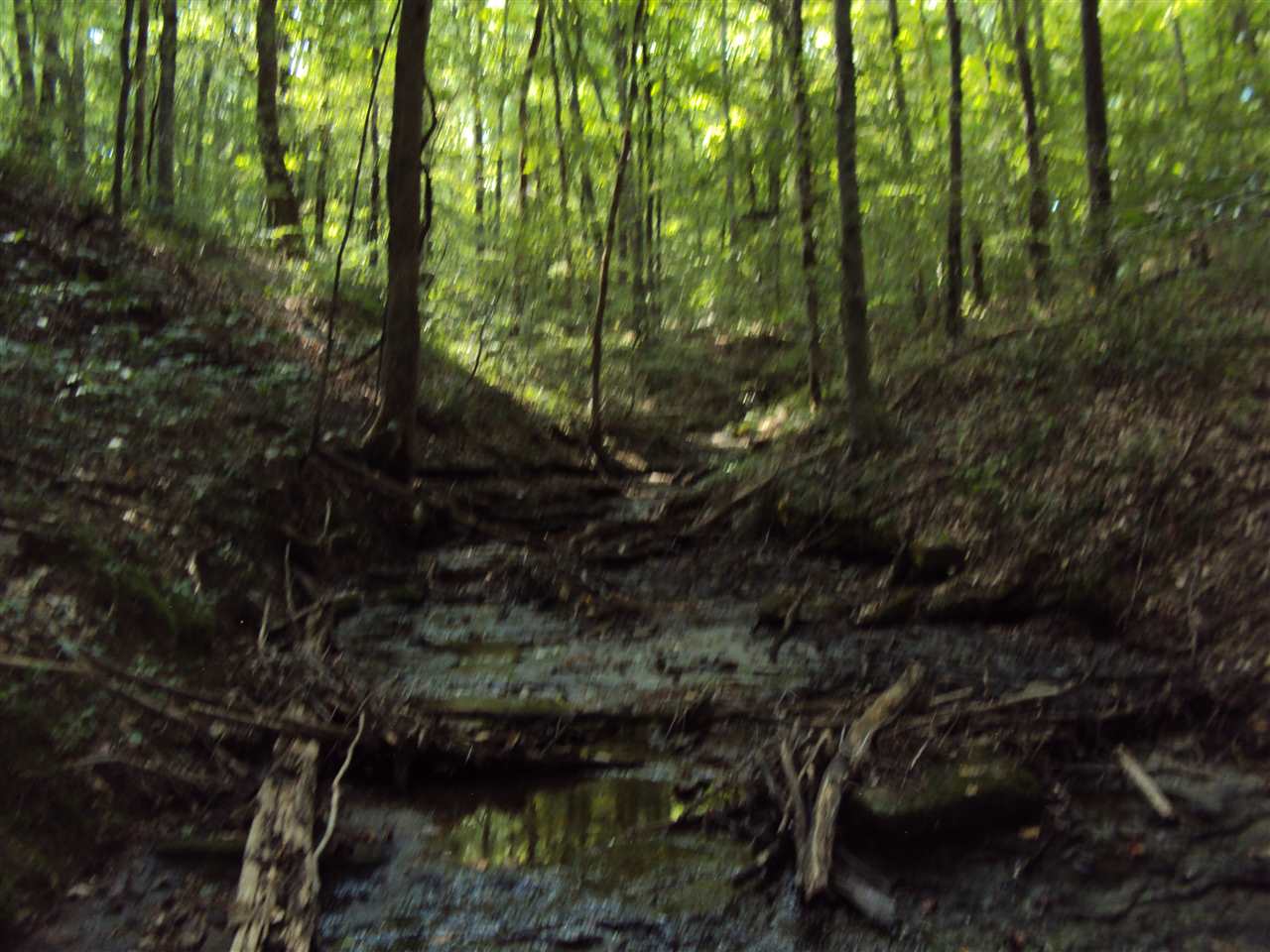 182 Riverview Road Scottsville, KY 42164 - Photo 16 of 22 Gallery Image 16