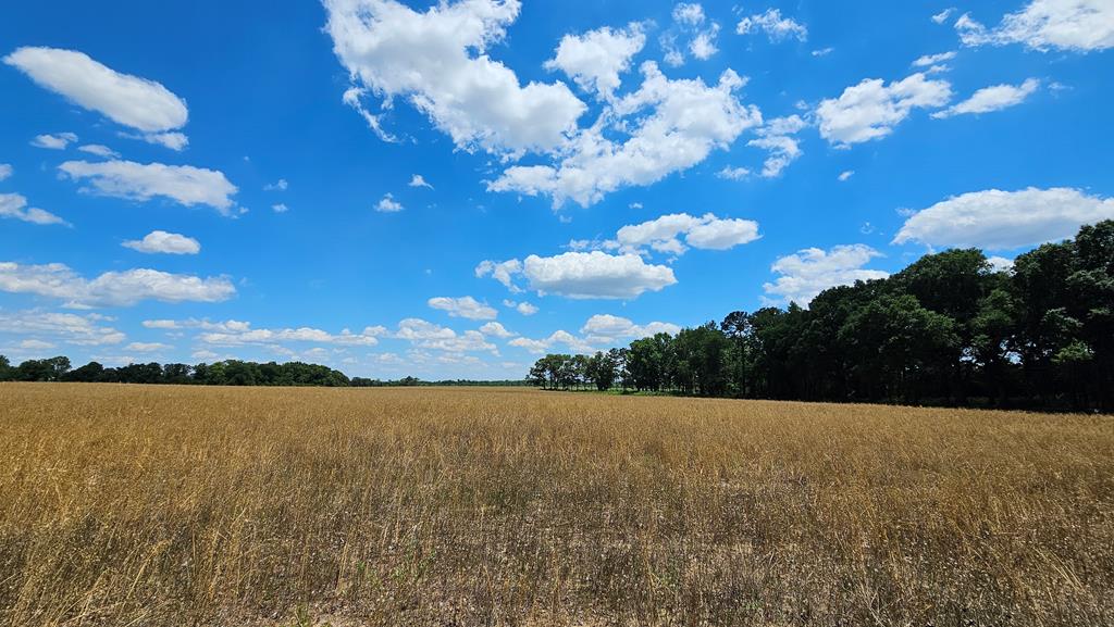 92 County Road 92 Slocomb, AL 36375 - Photo 26 of 58