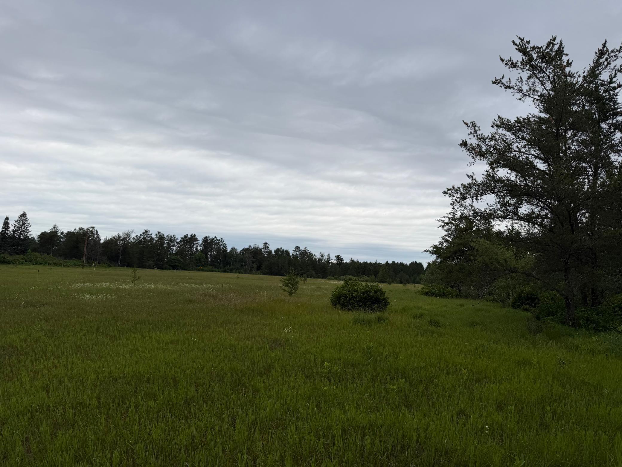 Tbd 350th Street Sebeka, MN 56477 - Photo 70 of 100