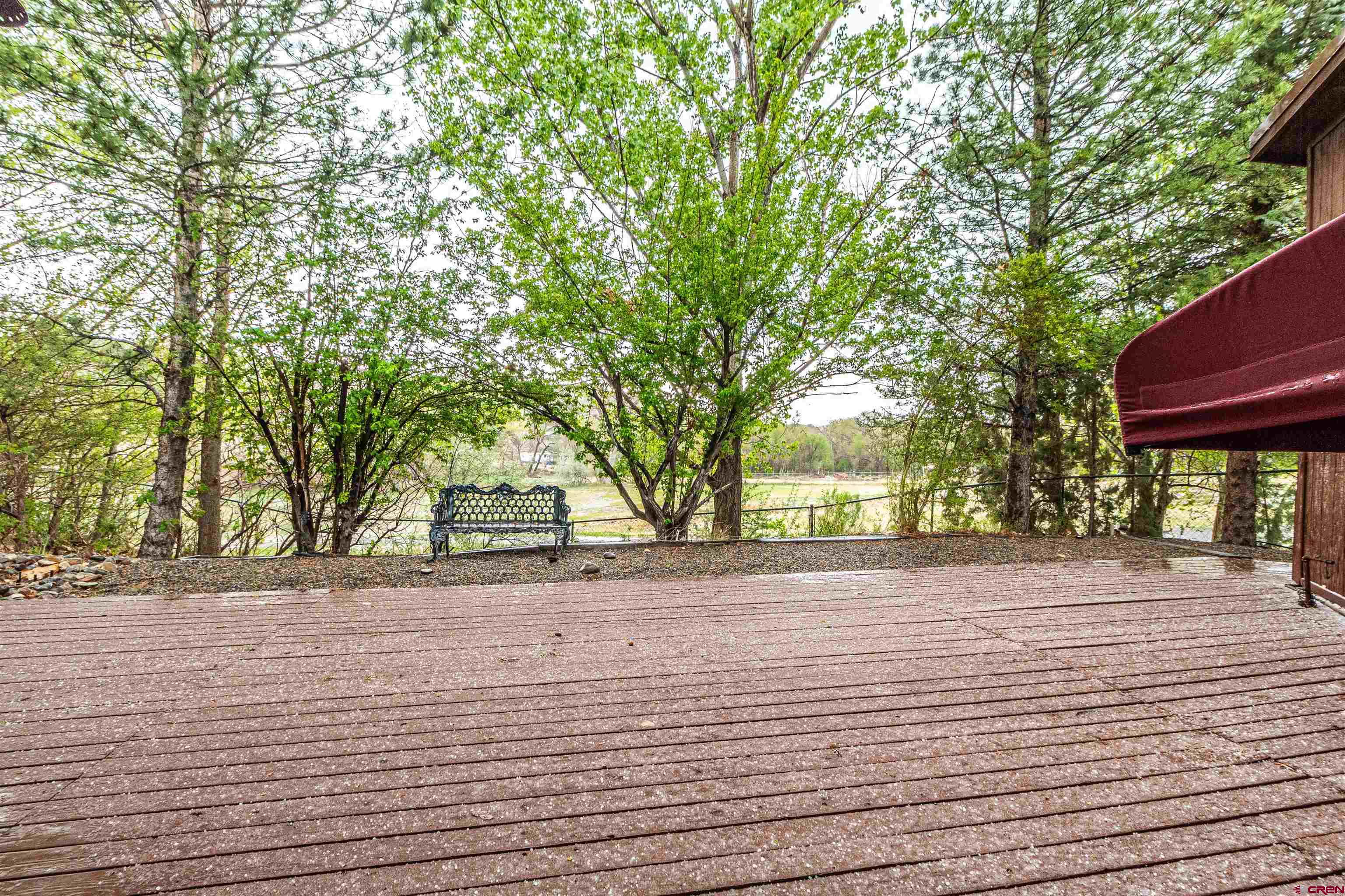27 Road 3025 Aztec, NM 87410 - Photo 37 of 45 a view of a yard with plants and trees