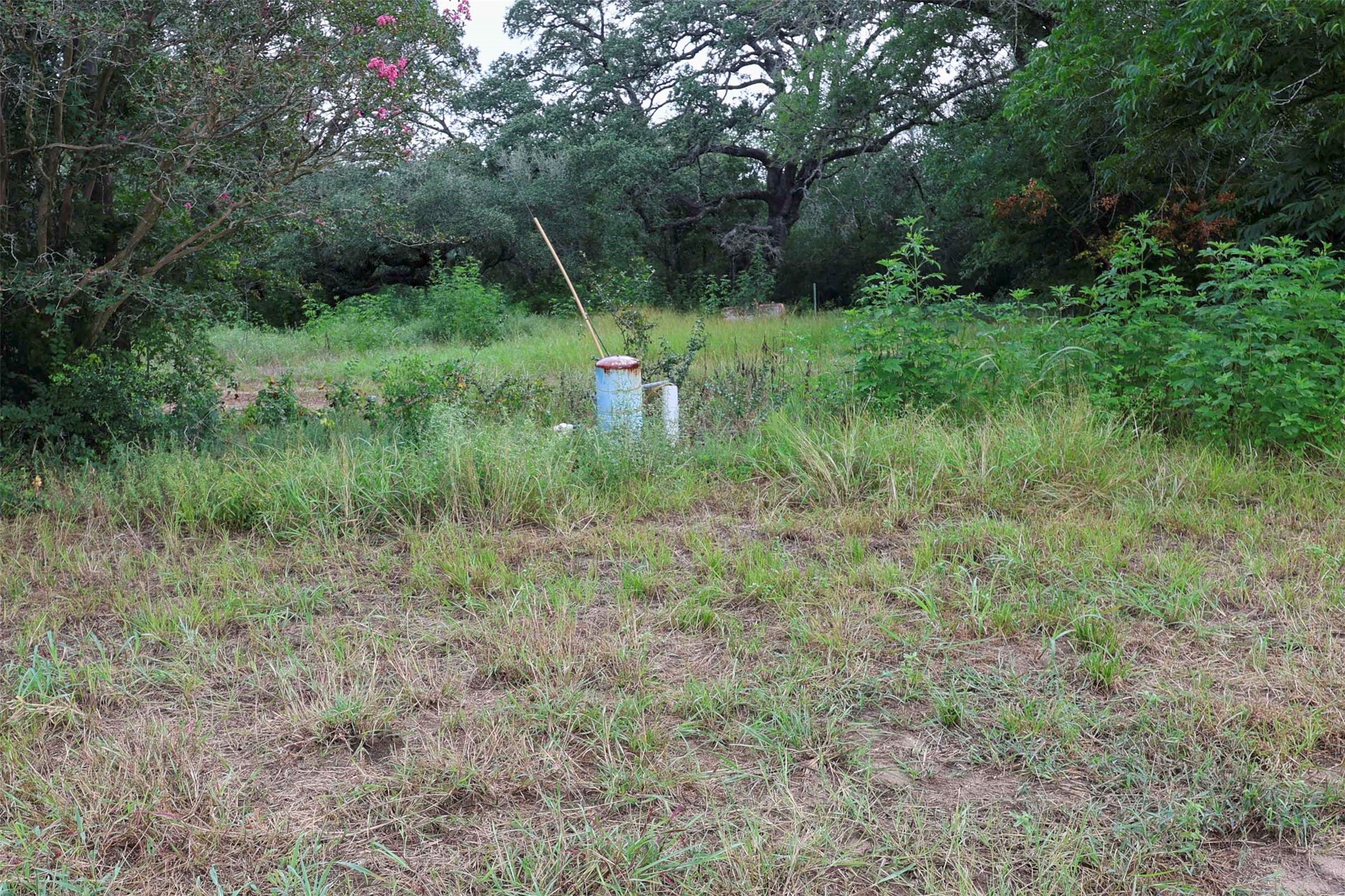 1340 Cr 253 Road Weimar, TX 78962 - Photo 17 of 18