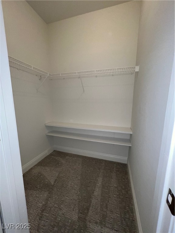 1705 King James Street, Unit 203 Las Vegas, NV 89144 - Photo 18 of 21 Walk in closet featuring dark colored carpet