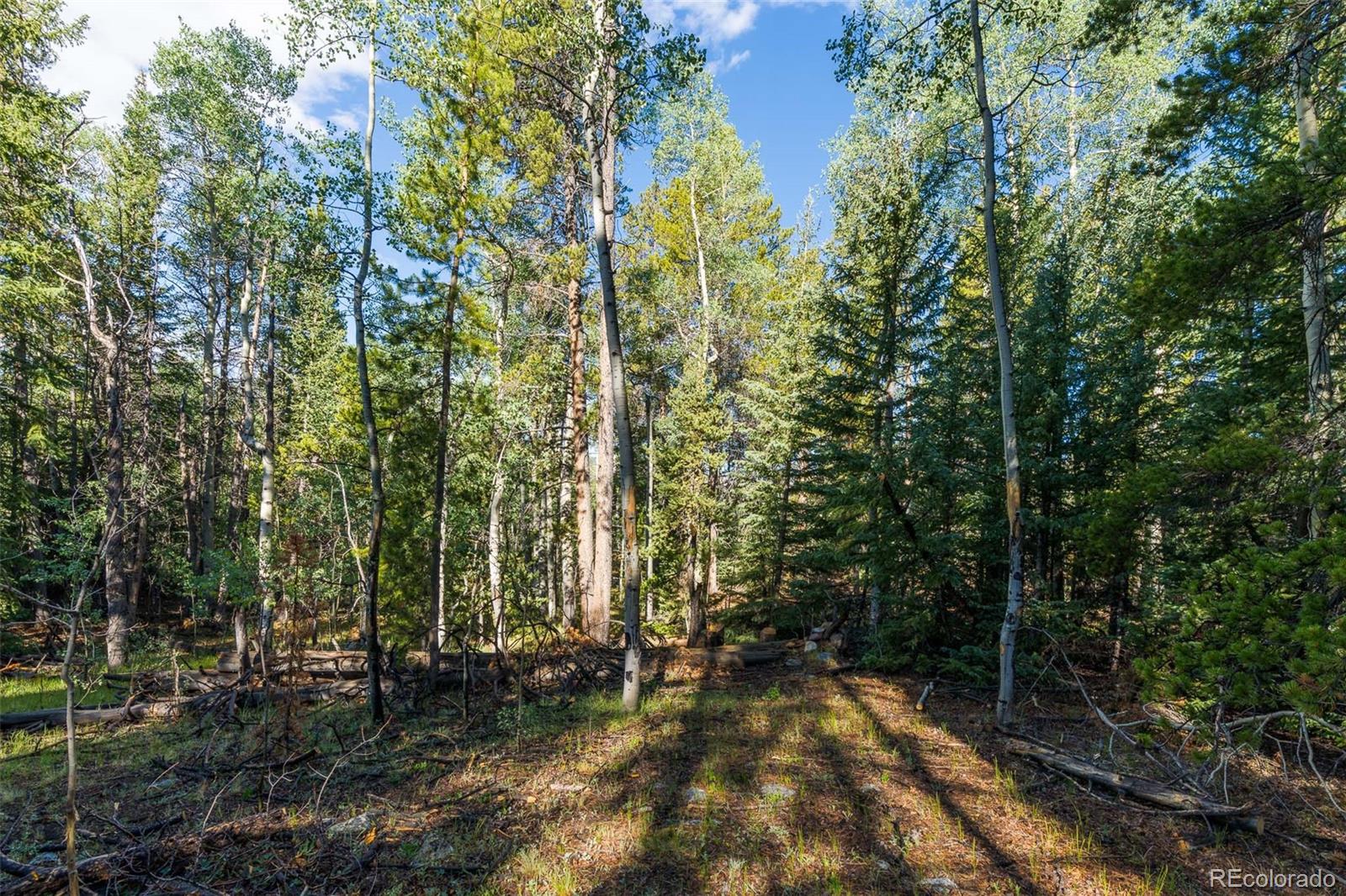 Lot 1 Snow Cap Peaks Road Fairplay, CO 80440 - Photo 3 of 20