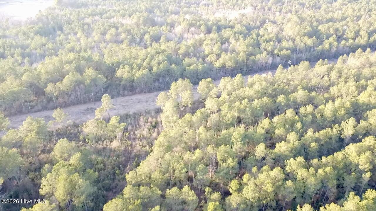 4900 Rogers Mill Road Rose Hill, NC 28458 - Photo 11 of 70 2025-12-24-16-07-38-067