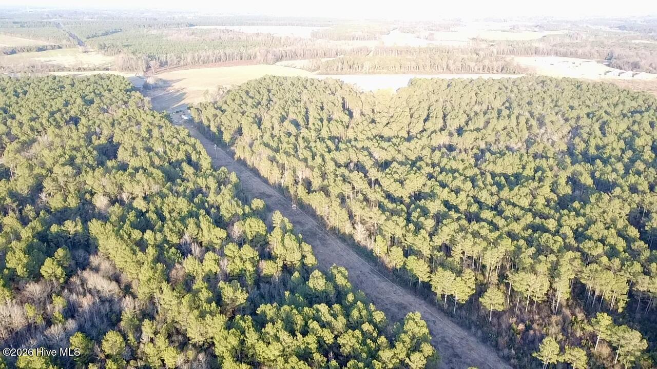 4900 Rogers Mill Road Rose Hill, NC 28458 - Photo 15 of 70 2025-12-24-16-09-35-088