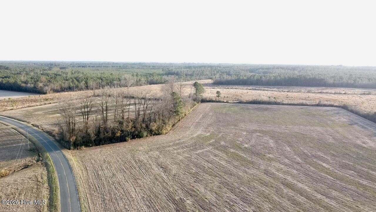 4900 Rogers Mill Road Rose Hill, NC 28458 - Photo 22 of 70 2025-12-24-16-04-22-294